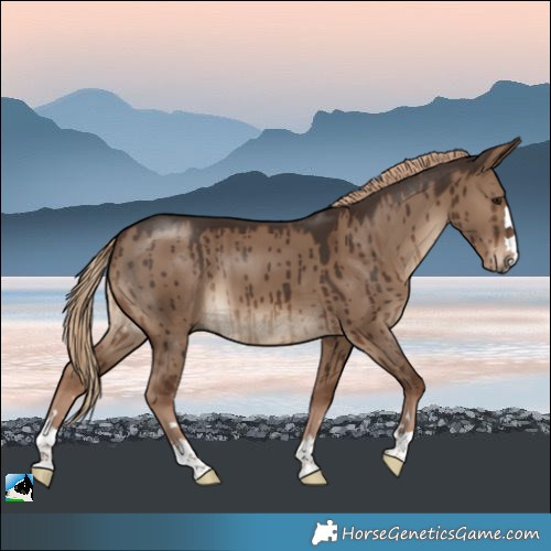 Horse Color:Liver Red Dun Brindle