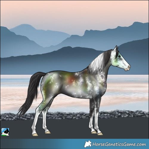 Horse Color:Smoky Black Mushroom Sabino 