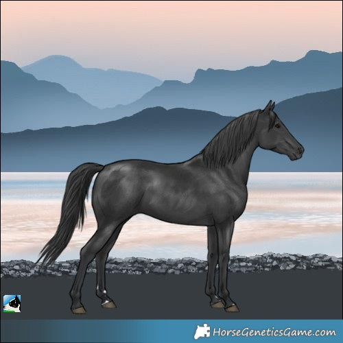 Horse Color:Black Mushroom 
