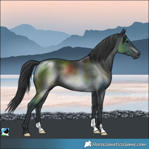 Horse Color:Black Mushroom 