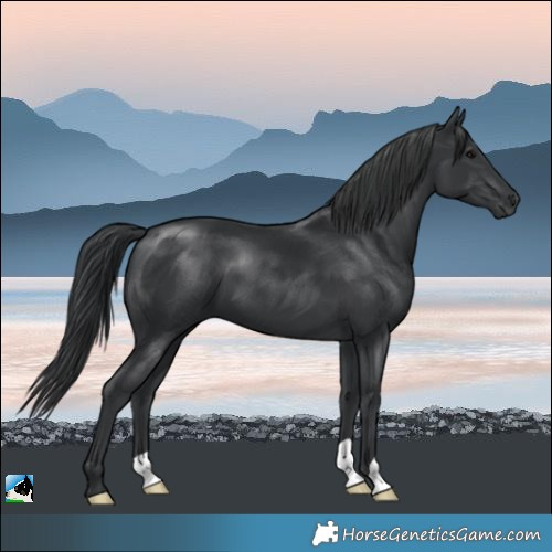 Horse Color:Black Mushroom