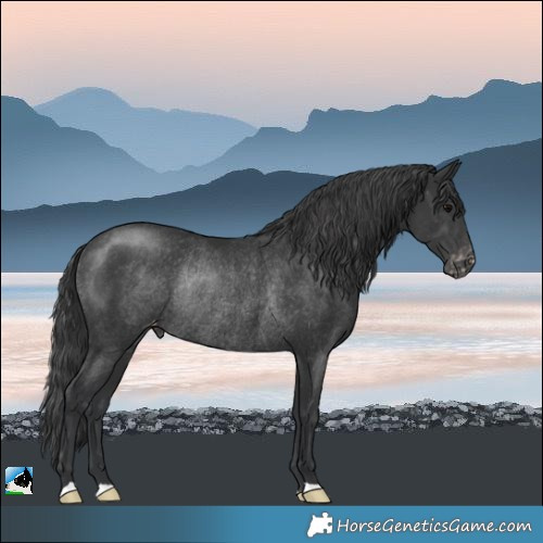 Horse Color:Black Varnish Rabicano