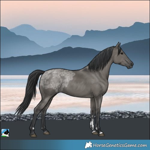 Horse Color:Grullo Ice Rabicano