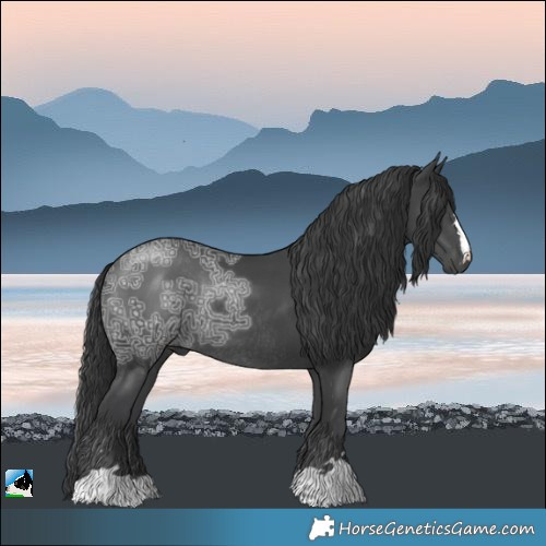 Horse Color:Black Ice Rabicano