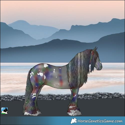 Horse Color:Nacre White Spotted Black Rabicano 