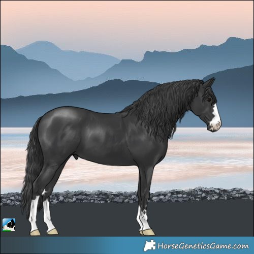 Horse Color:Black Mushroom 
