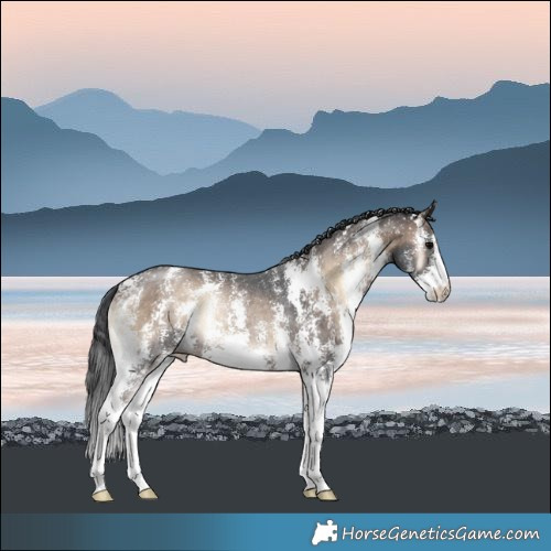 Horse Color:Brown Onyx Mushroom Sabino Rabicano 