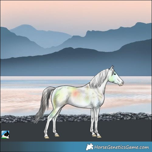 Horse Color:Brown Onyx Mushroom Sabino 