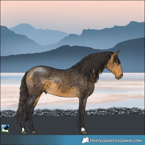 Horse Color:Buckskin Mushroom