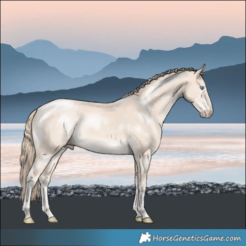 Horse Color:Perlino Mushroom 