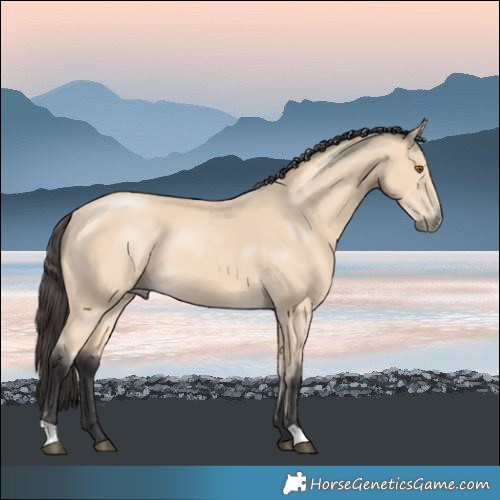 Horse Color:Buckskin Mushroom 