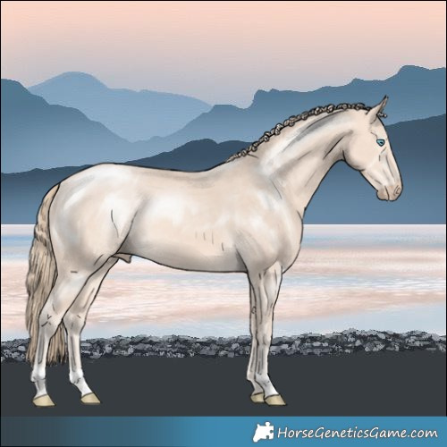 Horse Color:Perlino Mushroom 
