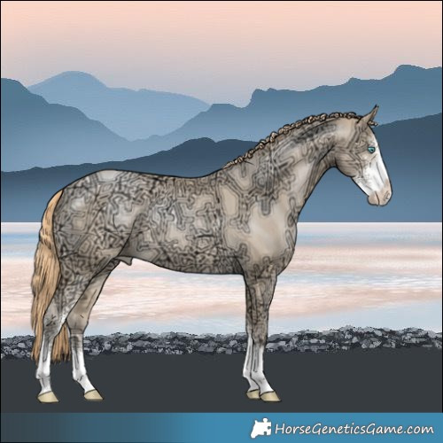 Horse Color:Buckskin Ice Pearl Mushroom Sabino