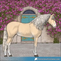 Horse Color:Palomino