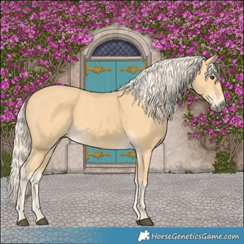 Horse Color:Palomino