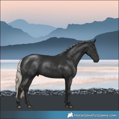 Horse Color:Liver Chestnut Mushroom Rabicano