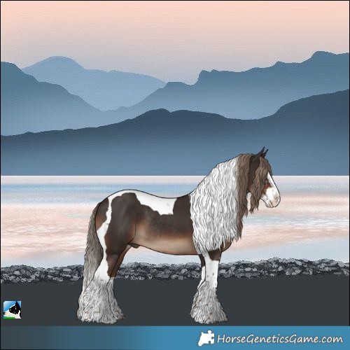 Horse Color:Liver Chestnut Sabino Splash Tobiano Rabicano