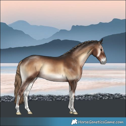 Horse Color:Liver Red Onyx Rabicano 