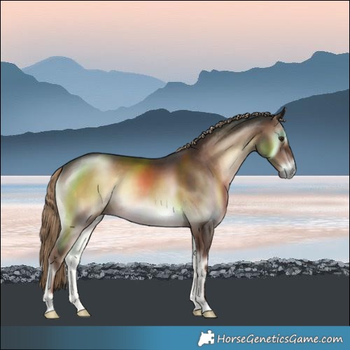 Horse Color:Liver Red Onyx Rabicano 