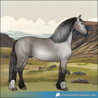 Horse Color:Gray Grullo 