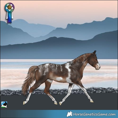 Horse Color:Powder White Liver Chestnut Tobiano Frame 