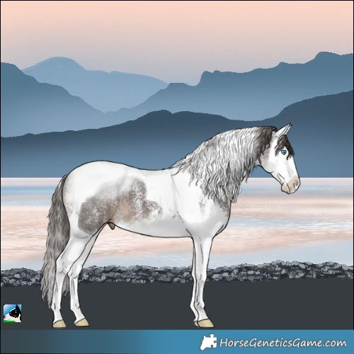 Horse Color:White Spotted Liver Chestnut Splash Tobiano