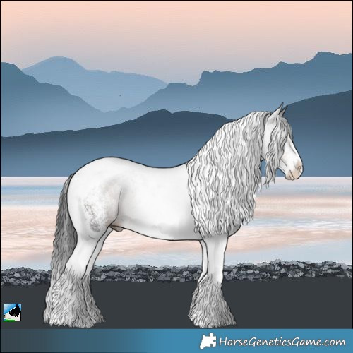 Horse Color:White Spotted Brown Tobiano Rabicano