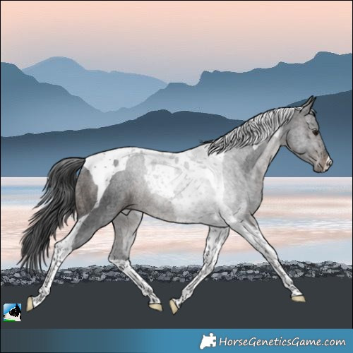 Horse Color:Brown Ice Tobiano Rabicano