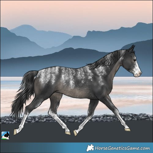 Horse Color:Powder White White Spotted Black Rabicano