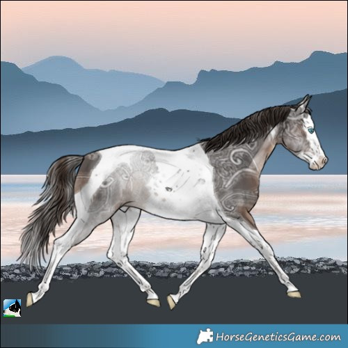 Horse Color:Liver Chestnut Ice Splash Tobiano 