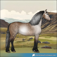 Horse Color:Gray Bay Dun 