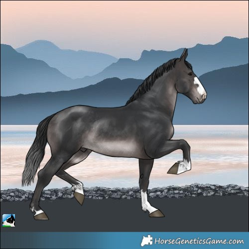 Horse Color:Platinum Brown Rabicano 