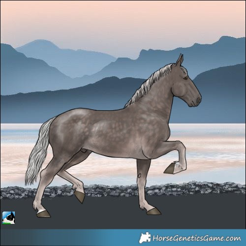 Horse Color:Platinum Chocolate Palomino Rabicano 