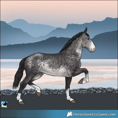 Horse Color:Platinum Buckskin Rabicano