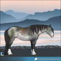 Horse Color:Platinum Buckskin Rabicano 