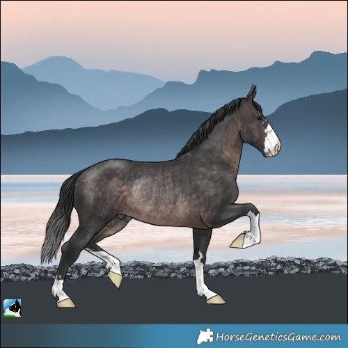 Horse Color:Platinum Brown Rabicano 