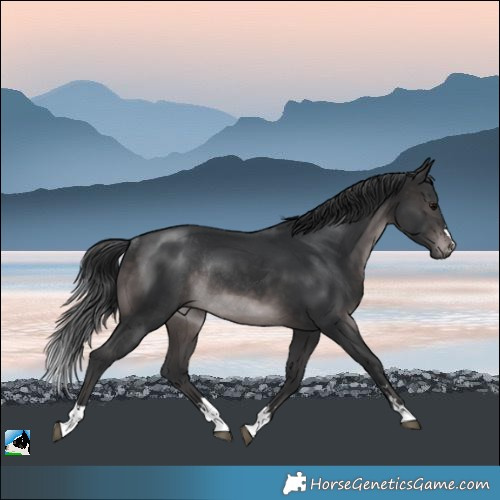 Horse Color:Platinum Brown Rabicano 