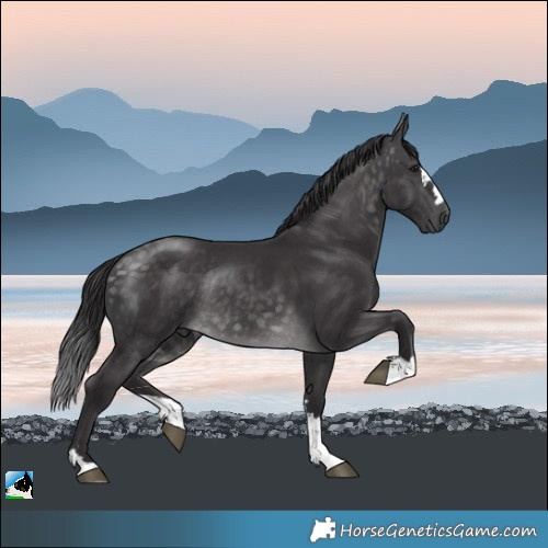 Horse Color:Platinum Buckskin Rabicano 