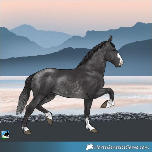 Horse Color:Platinum Buckskin Rabicano 