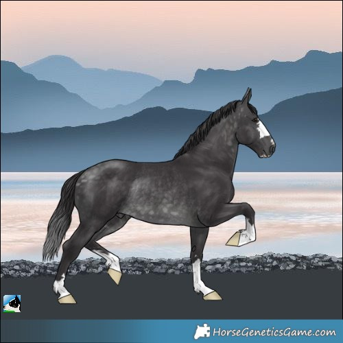 Horse Color:Platinum Buckskin Rabicano 