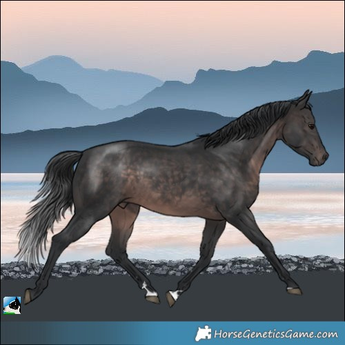 Horse Color:Platinum Brown Rabicano