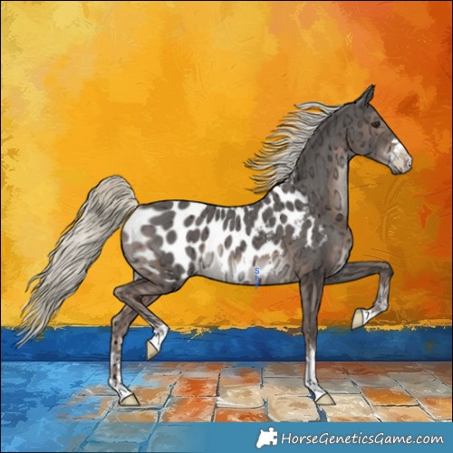 Horse Color:Liver Chestnut Ice Mushroom Appaloosa Rabicano 