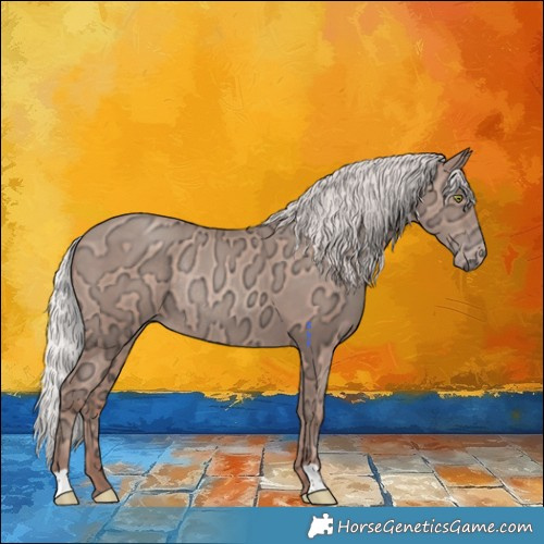 Horse Color:Silver Sable Champagne Ice Mushroom Rabicano 