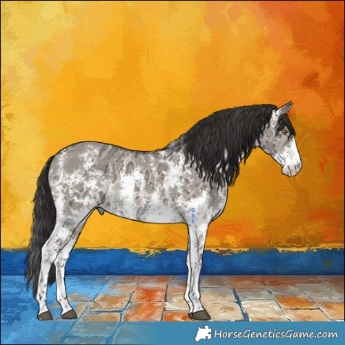 Horse Color:Brown Ice Dun Mushroom Sabino Rabicano 
