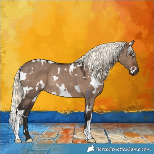 Horse Color:White Spotted Liver Red Dun Mushroom Rabicano 