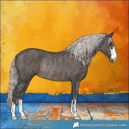 Horse Color:Liver Chestnut Ice Mushroom Rabicano 