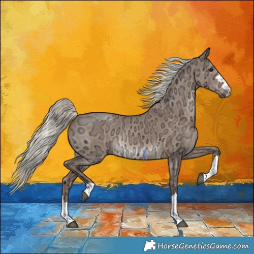 Horse Color:Liver Red Dun Ice Mushroom Rabicano 