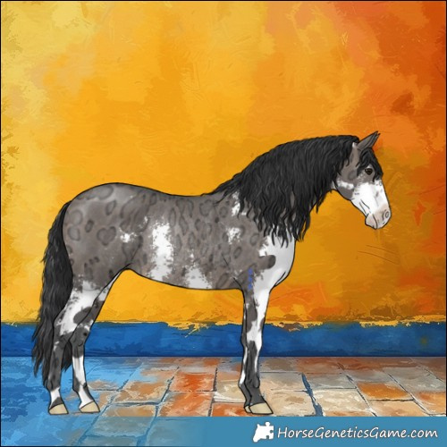Horse Color:Brown Ice Dun Sabino Rabicano 