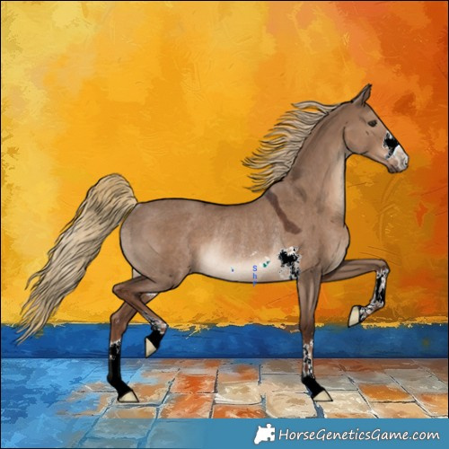 Horse Color:Liver Red Dun Rabicano 