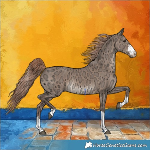 Horse Color:Liver Red Dun Ice Rabicano 